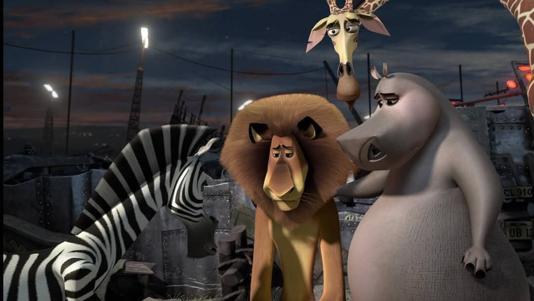 โ๐ต๐๐๐๐ ๐พ๐๐๐โ tweet media