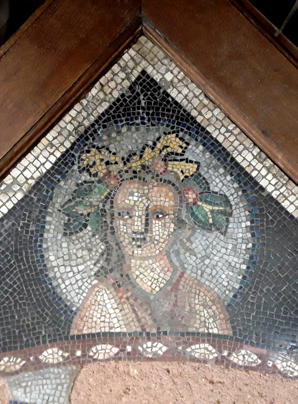 frederic lecut tweet media