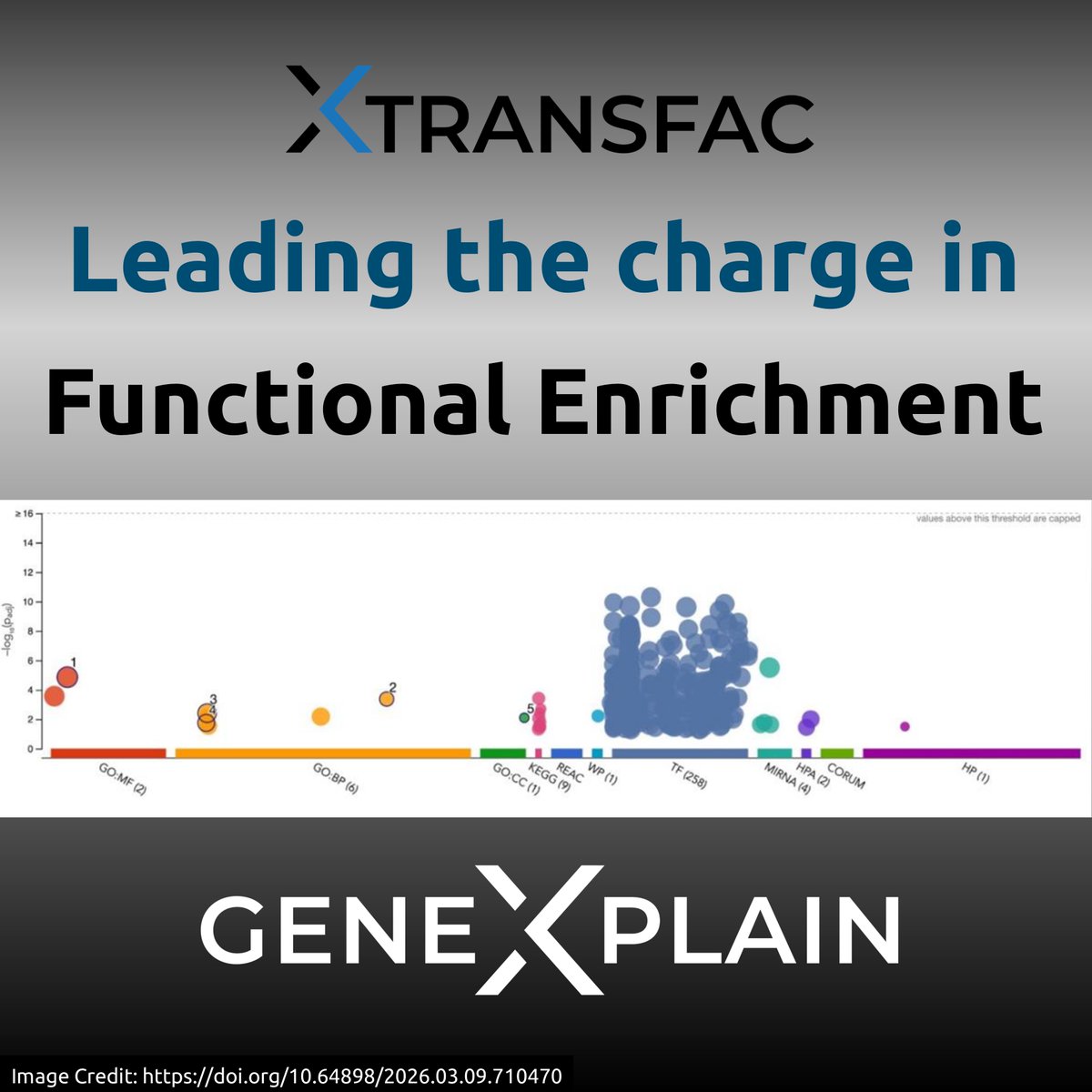 geneXplain GmbH tweet media