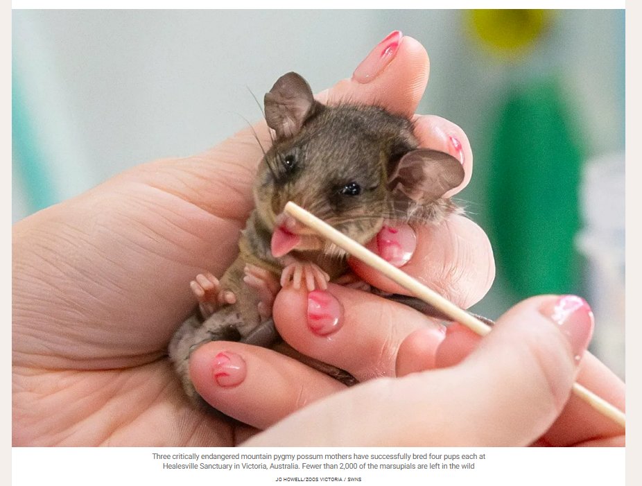 Dean Murray tweet media