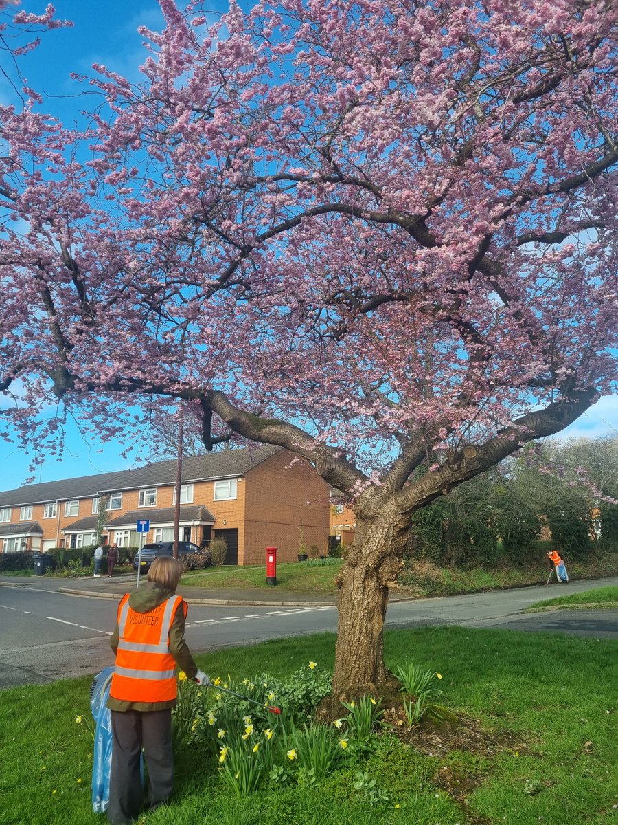 Bournville Village Trust tweet media