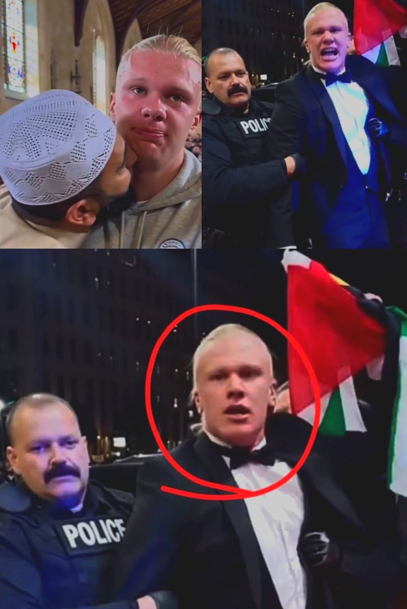 All news tweet media