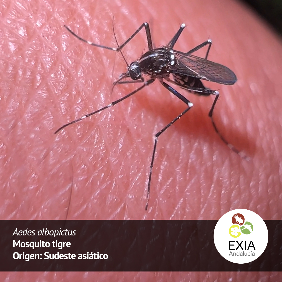 Proyecto LifeWatch ERIC - Sumhal tweet media