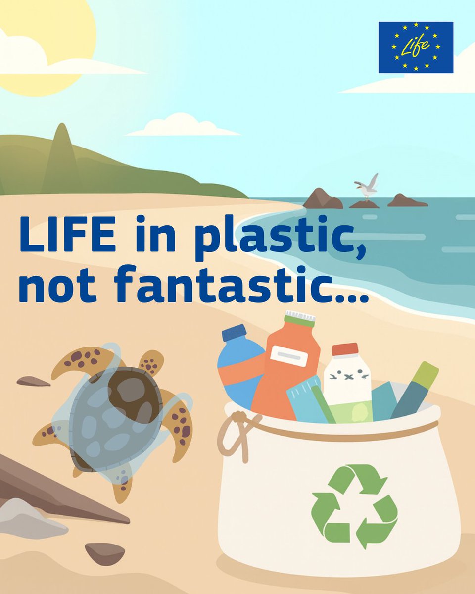 LIFE Programme tweet media