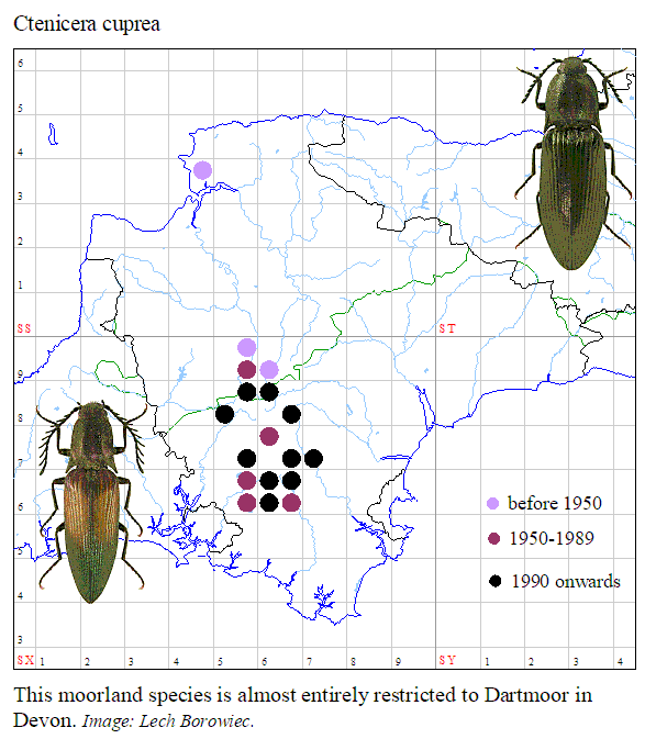 DA Executive Secretary tweet media