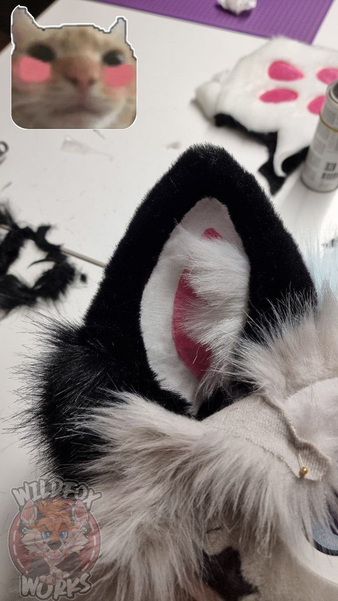 🦊WILDFOXWORKS🦊 🔜 AWOO tweet media