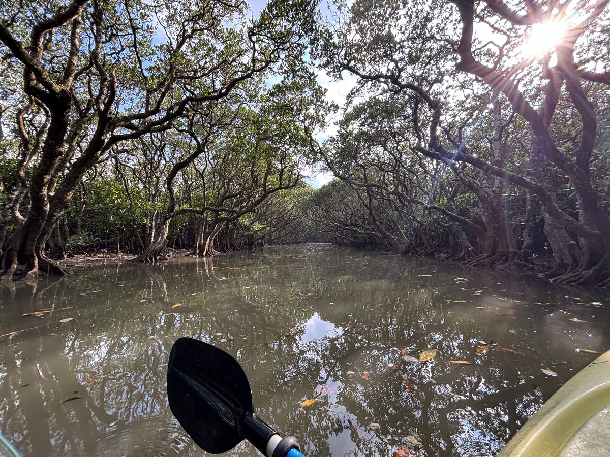 🐙わさろお🦑 tweet media