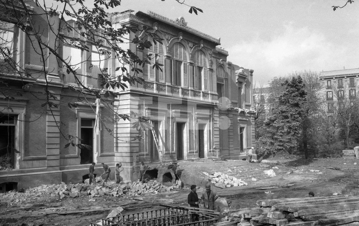 Diegolito🇪🇦👑 tweet media