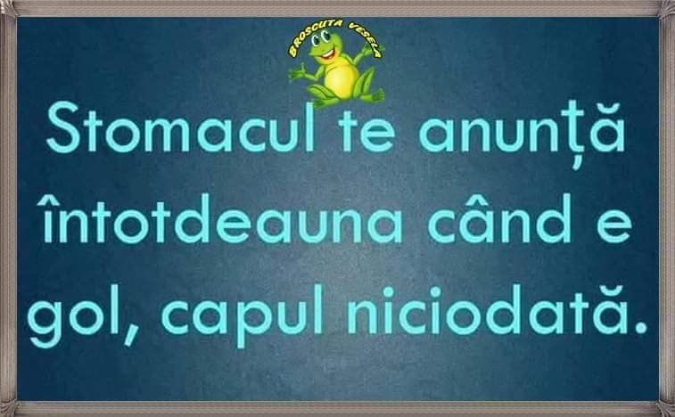 MTudor79 tweet media