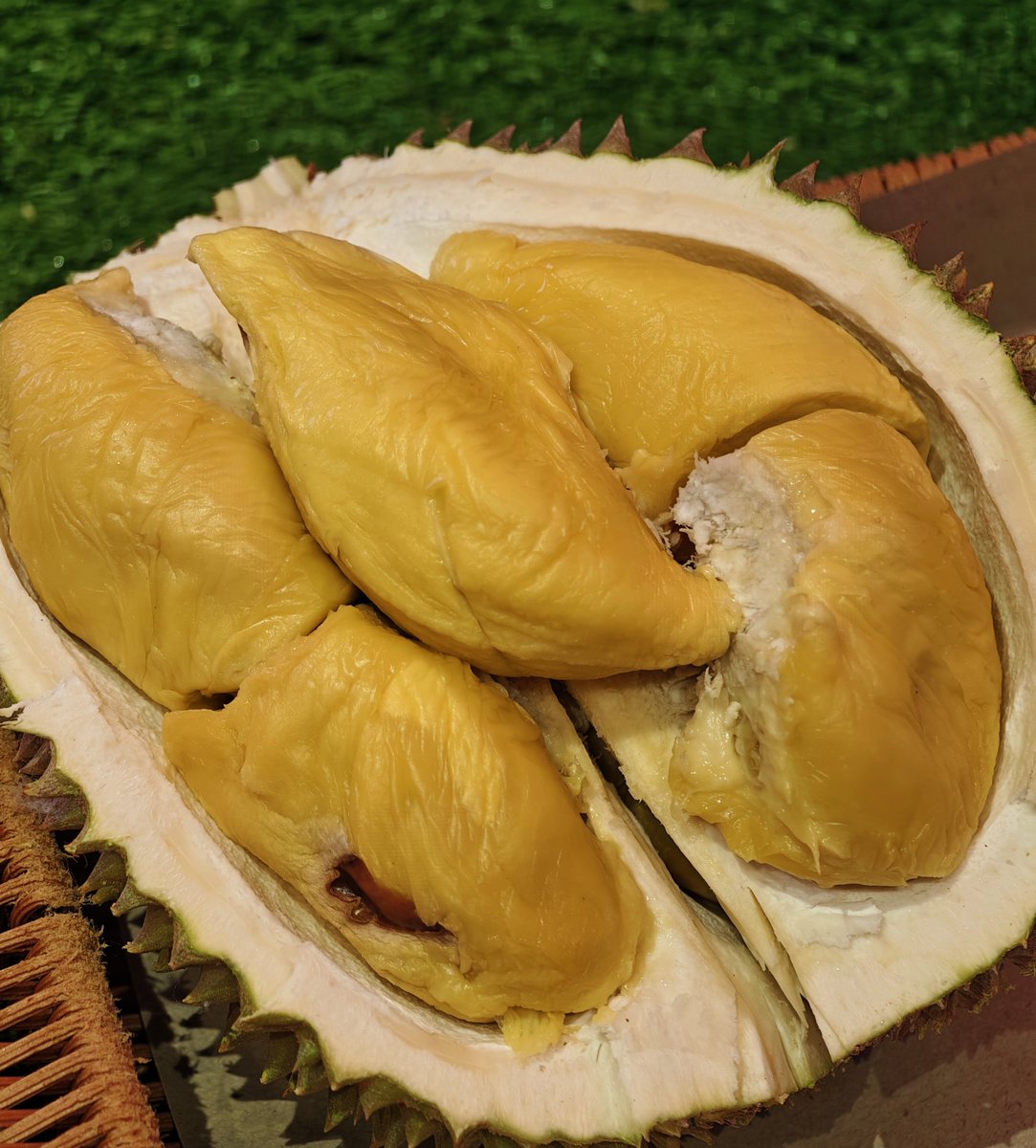 Remia Aotsuki 🔋🔭 VSPO! EN tweet media