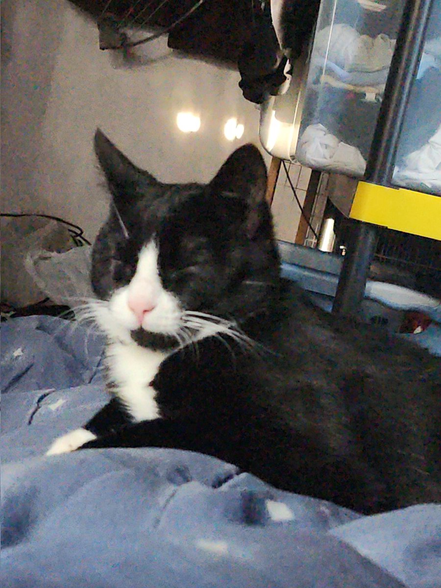 Riot🔞 tweet media