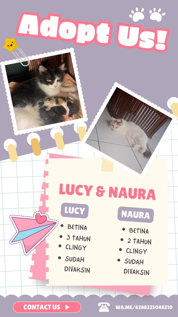 bigbubbles__'s tweet image. 🚨 OPEN ADOPT ALERT 🚨

✔️ tersedia jantan &amp;amp; betina
✔️ beberapa sudah vaksin
✔️ 100% hobi makan &amp;amp; rebahan
✔️ bisa jadi mood booster tiap hari 😭✨

area concat, langsung gas 👉 wa.me/6288225048310

#openadopt #freeadoptkucing #kucing #openadoptkucing #kucingjogja