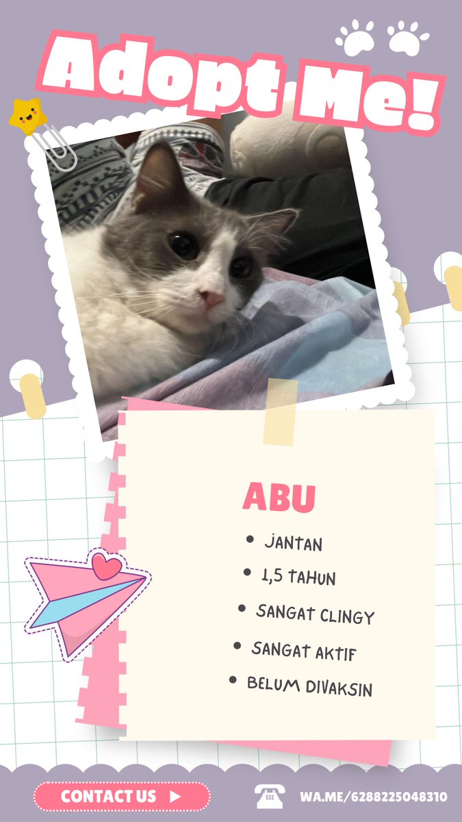 bigbubbles__'s tweet image. 🚨 OPEN ADOPT ALERT 🚨

✔️ tersedia jantan &amp;amp; betina
✔️ beberapa sudah vaksin
✔️ 100% hobi makan &amp;amp; rebahan
✔️ bisa jadi mood booster tiap hari 😭✨

area concat, langsung gas 👉 wa.me/6288225048310

#openadopt #freeadoptkucing #kucing #openadoptkucing #kucingjogja