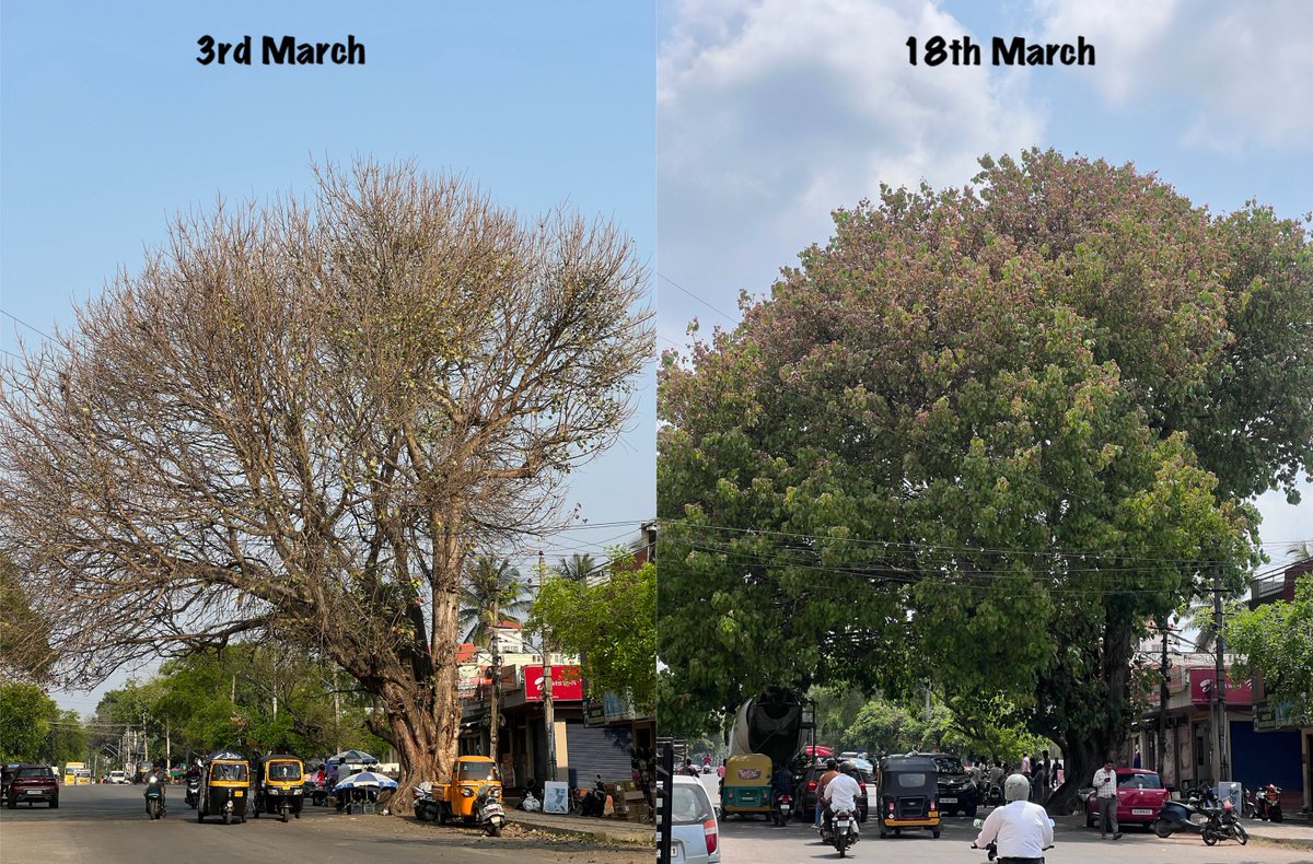 ರವಿ ಕೀರ್ತಿ ಗೌಡ tweet media