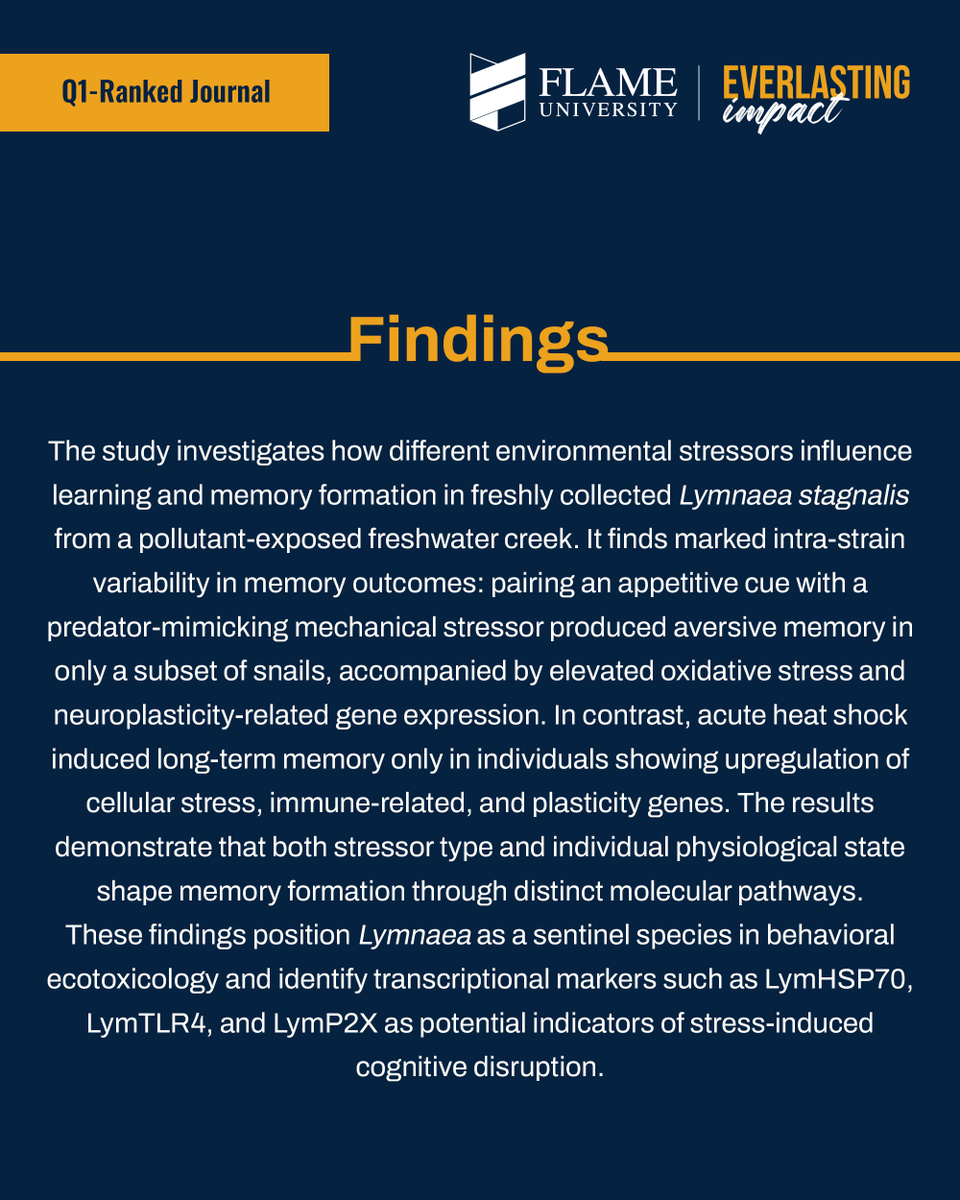 FLAME University tweet media