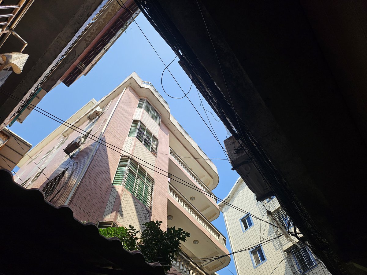 热带鱼 tweet media