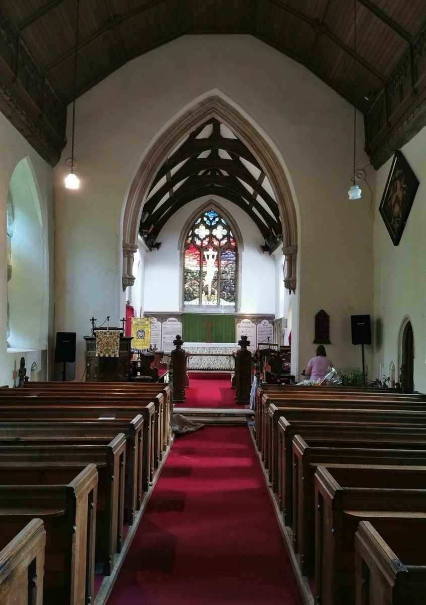 Desert Rose tweet media