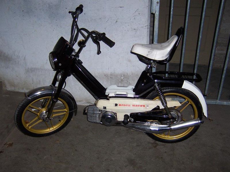 King Wicky tweet media