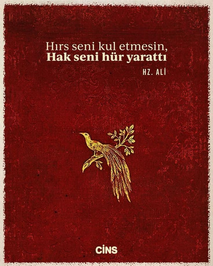 Ne kadar doğru.