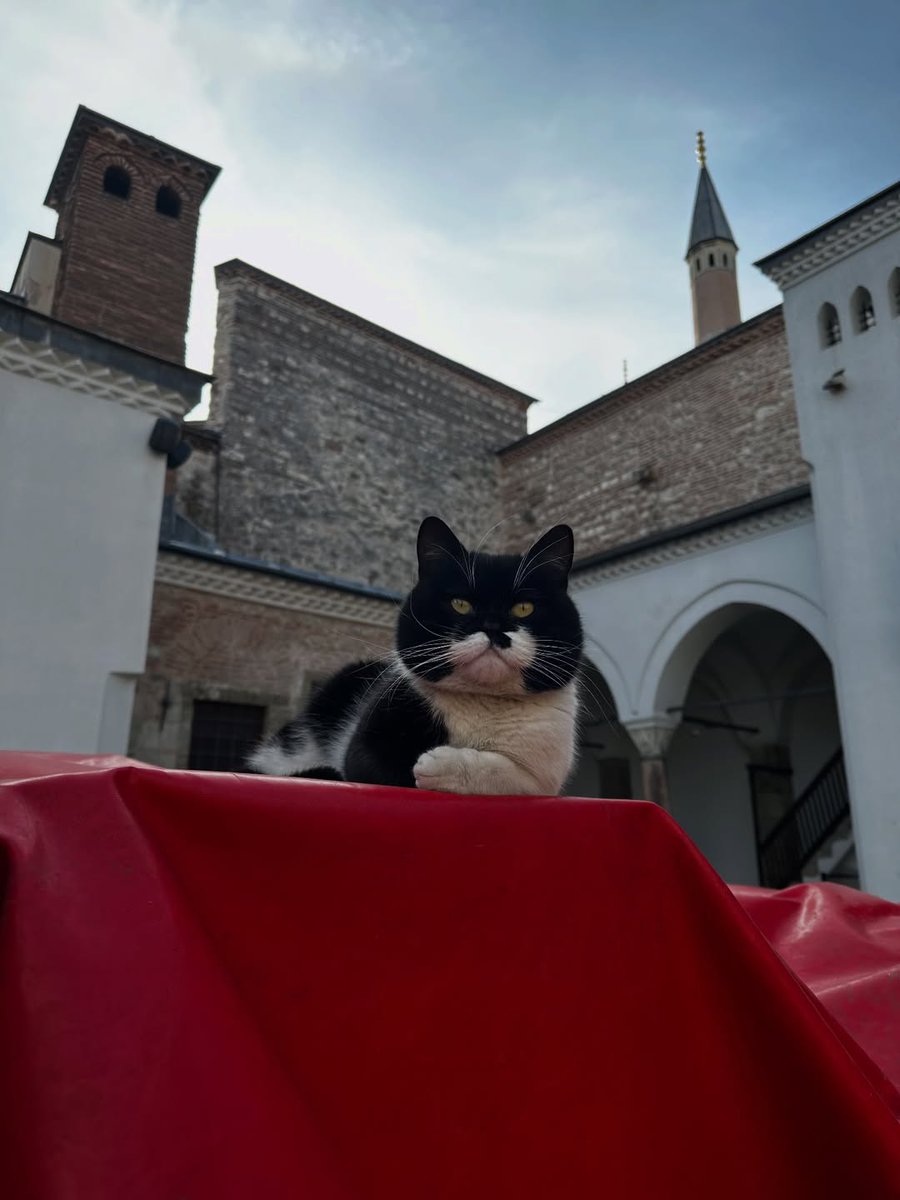 BioDiscoveryHub tweet media