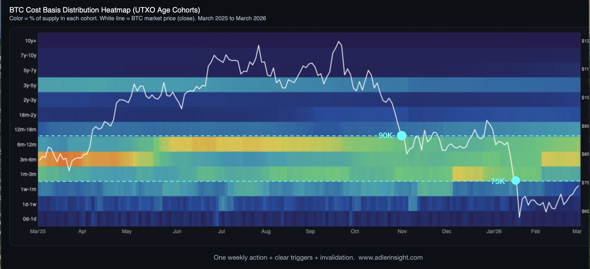 Axel 💎🙌 Adler Jr tweet media