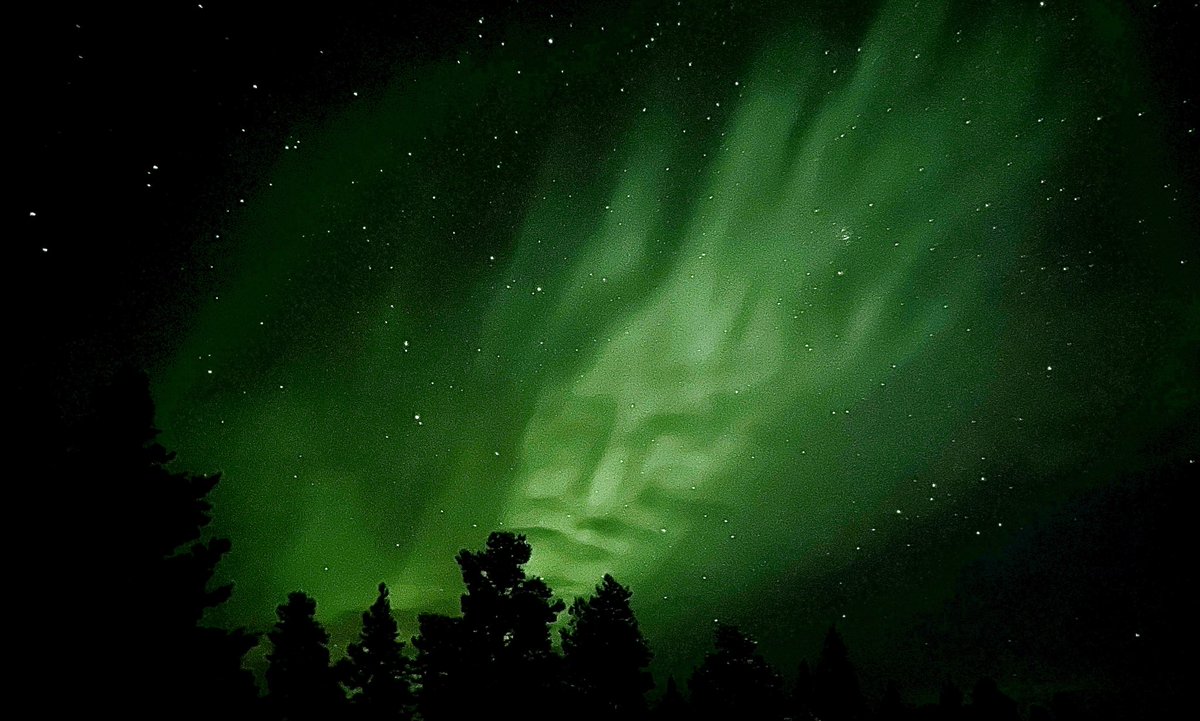 Richard Herrey tweet media