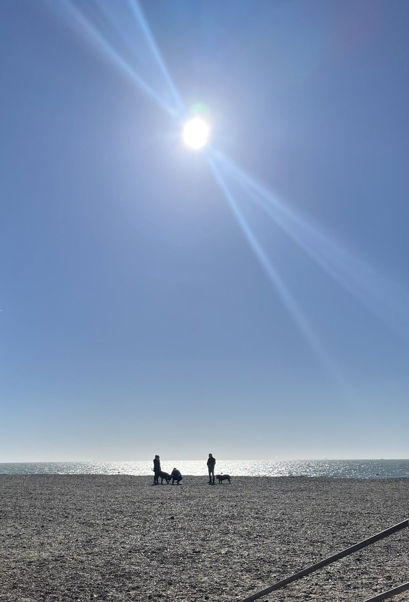 M E B 👓 💙 tweet media