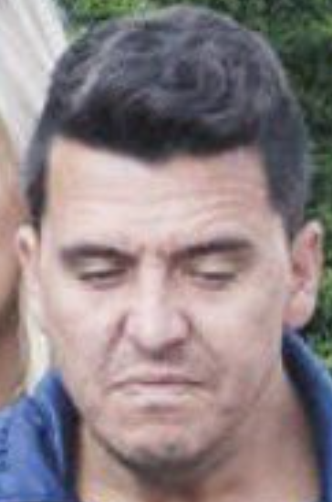 Trevor Fitzright tweet media