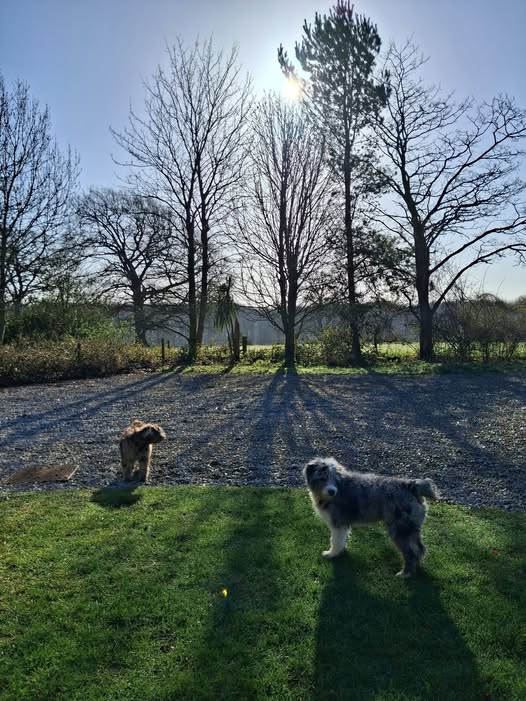 Countryside Learning tweet media