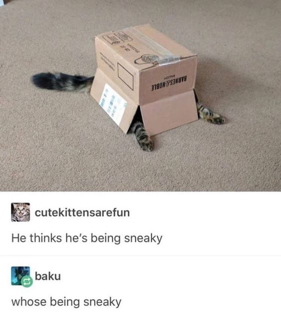WholesomeMemes (@wholesomememe) on Twitter photo 