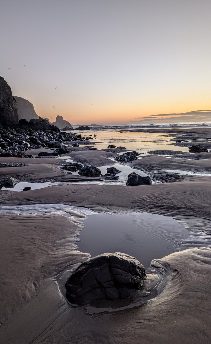 JimiJimirae's tweet photo. The joy of being an early riser. Early morning beach walk...👣🌊⛱️🪨🌅
#LunanBay #Angus #Spring #Scotland https://t.co/f2prFOFmtx