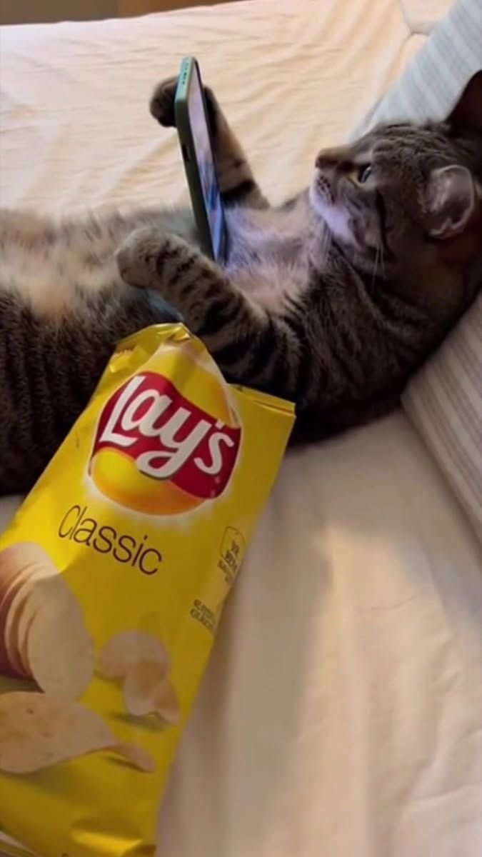 Binance Intern tweet media