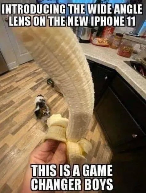 KingWasabi | SUMEX tweet media