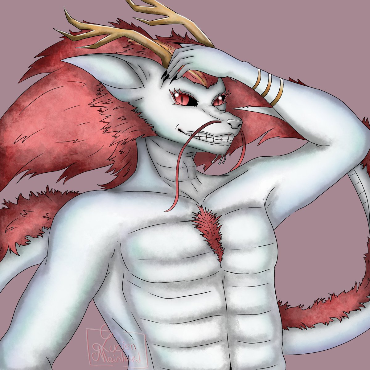 Lucien Meinhard tweet media