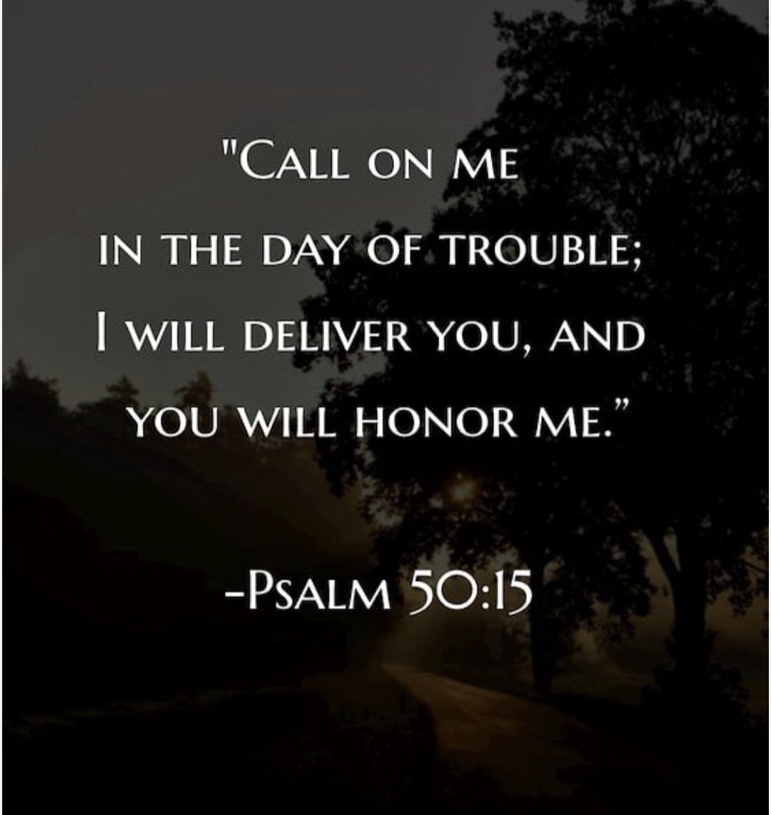 Kevin Barnette tweet media