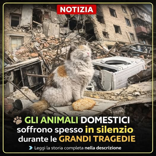 Stefania❤️ tweet media