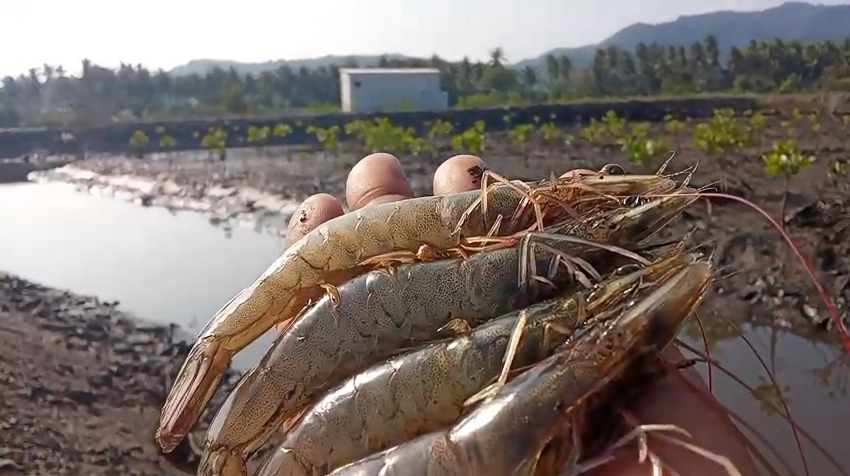 Active Sleep(アクティブスリープ)【公式】 tweet media