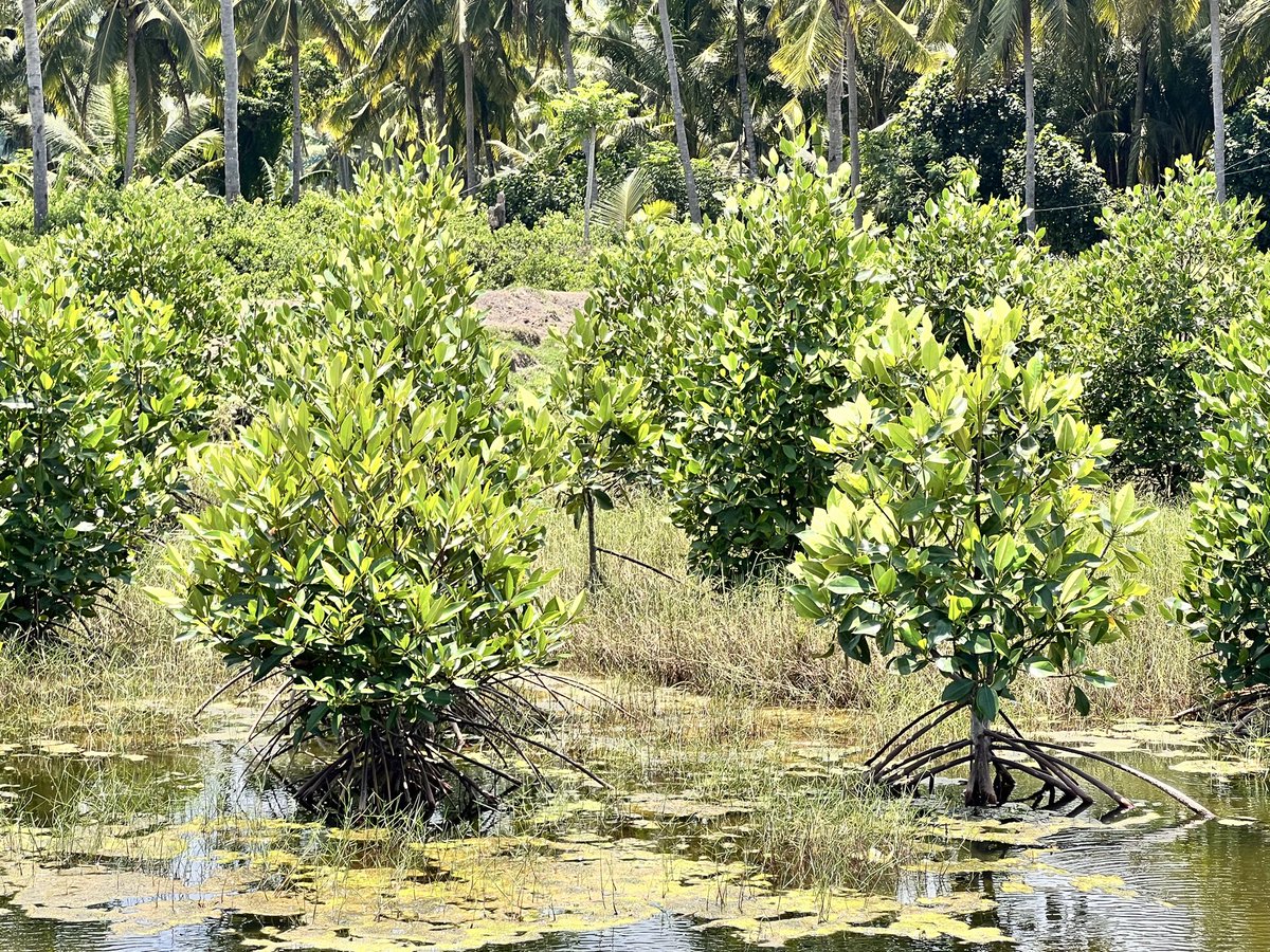 Active Sleep(アクティブスリープ)【公式】 tweet media