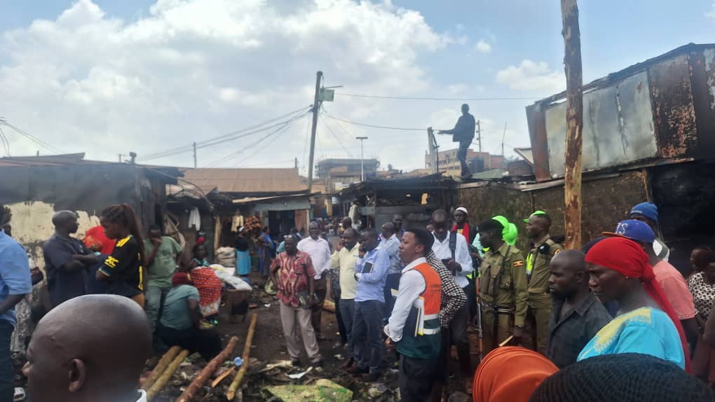 Rexba limited tweet media