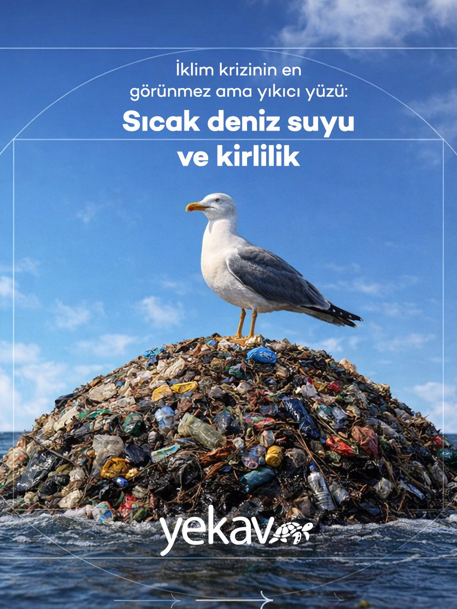 Yeşil Kalkınma Vakfı tweet media