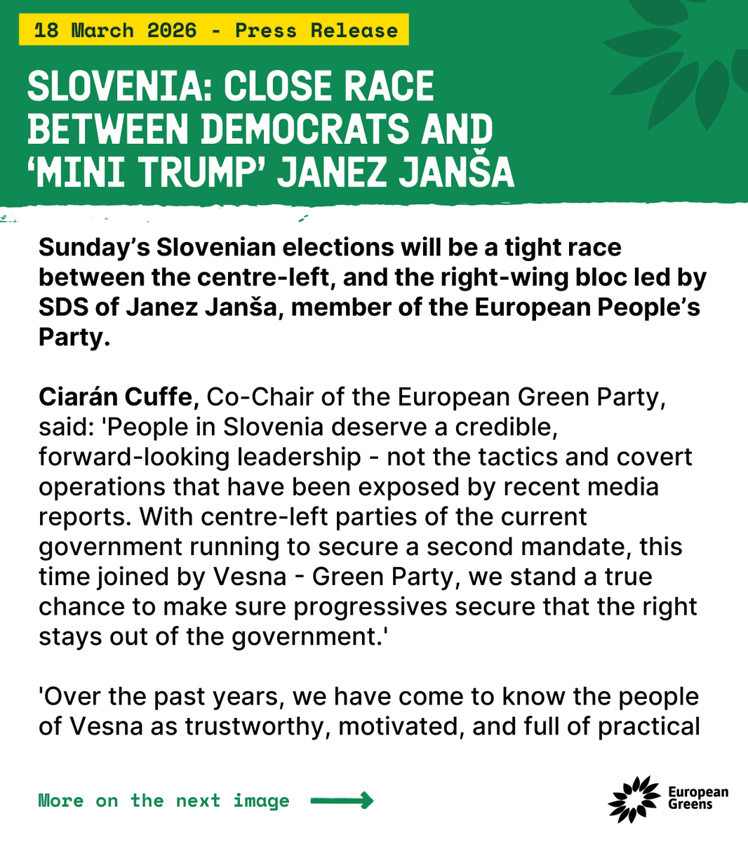 European Greens tweet media