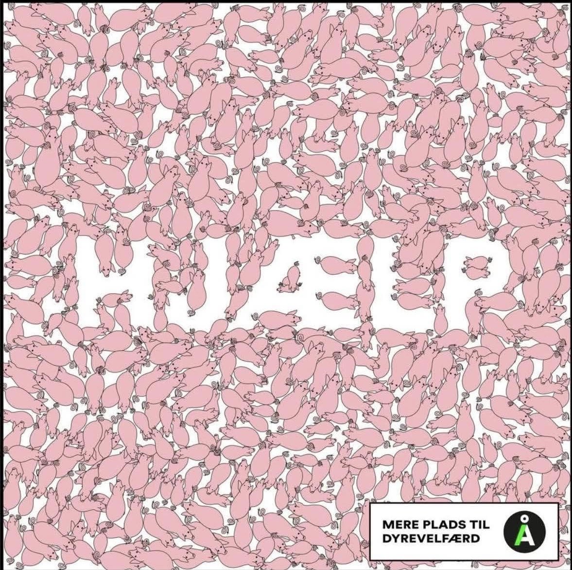 Mathias Høj Sauer tweet media