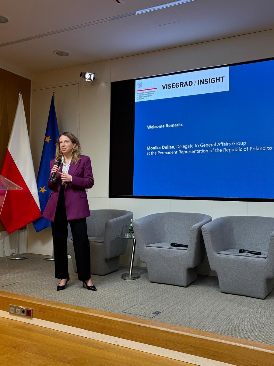 Visegrad Insight tweet media