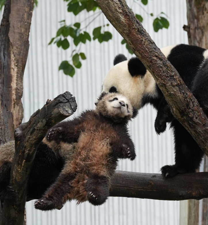 dre dre(ドリドリ) tweet media