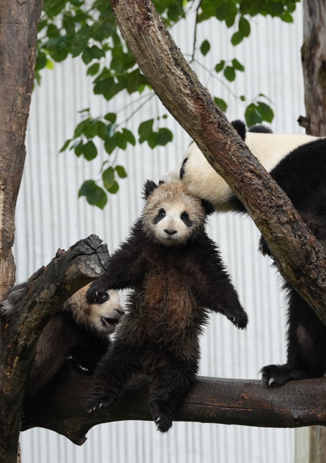 dre dre(ドリドリ) tweet media