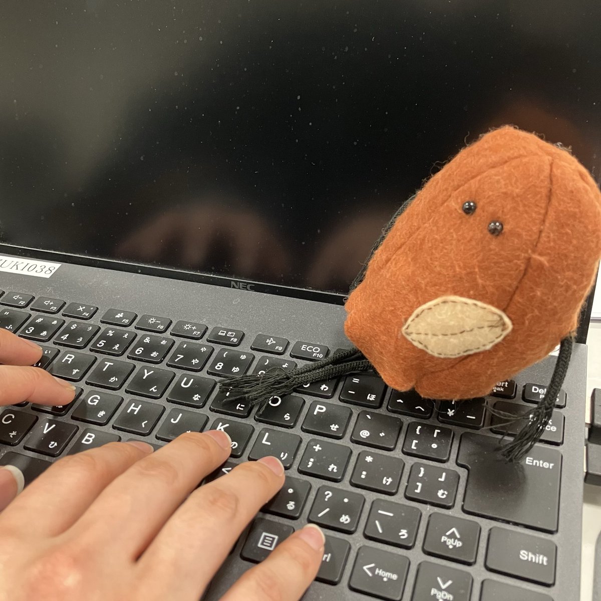 こんばん太郎🍯🥜

今日はみんなのお手伝いがしたくてEnterキー押す係やったよ！！

お手伝いしてほしい時あったら、いつでも僕を呼んでね〜🌟

#はちみつ太郎