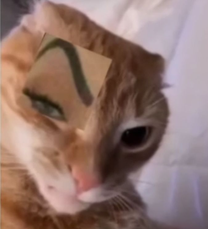 Binance Intern tweet media