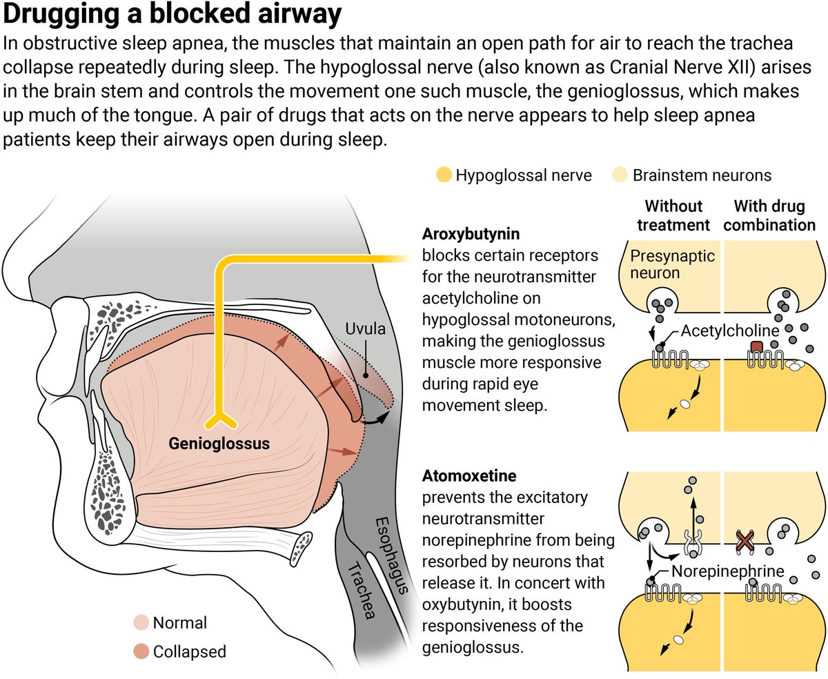 News from Science tweet media