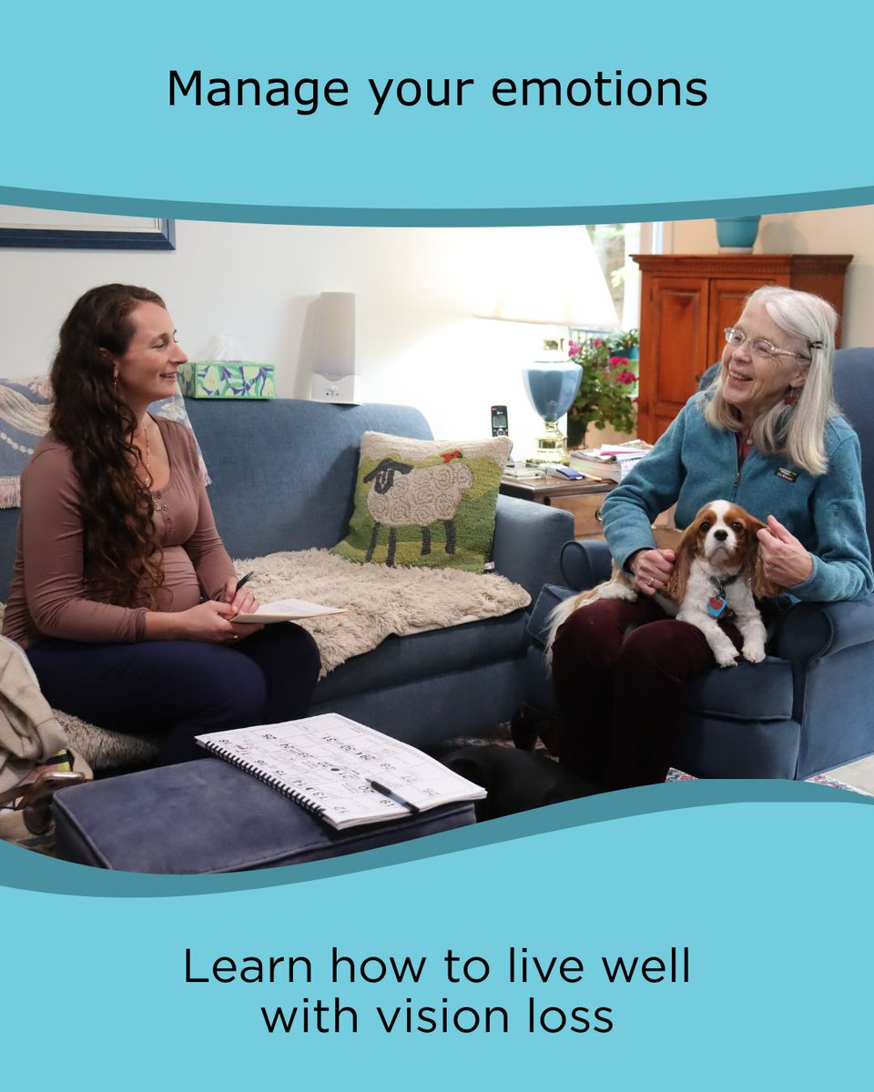 Future In Sight tweet media