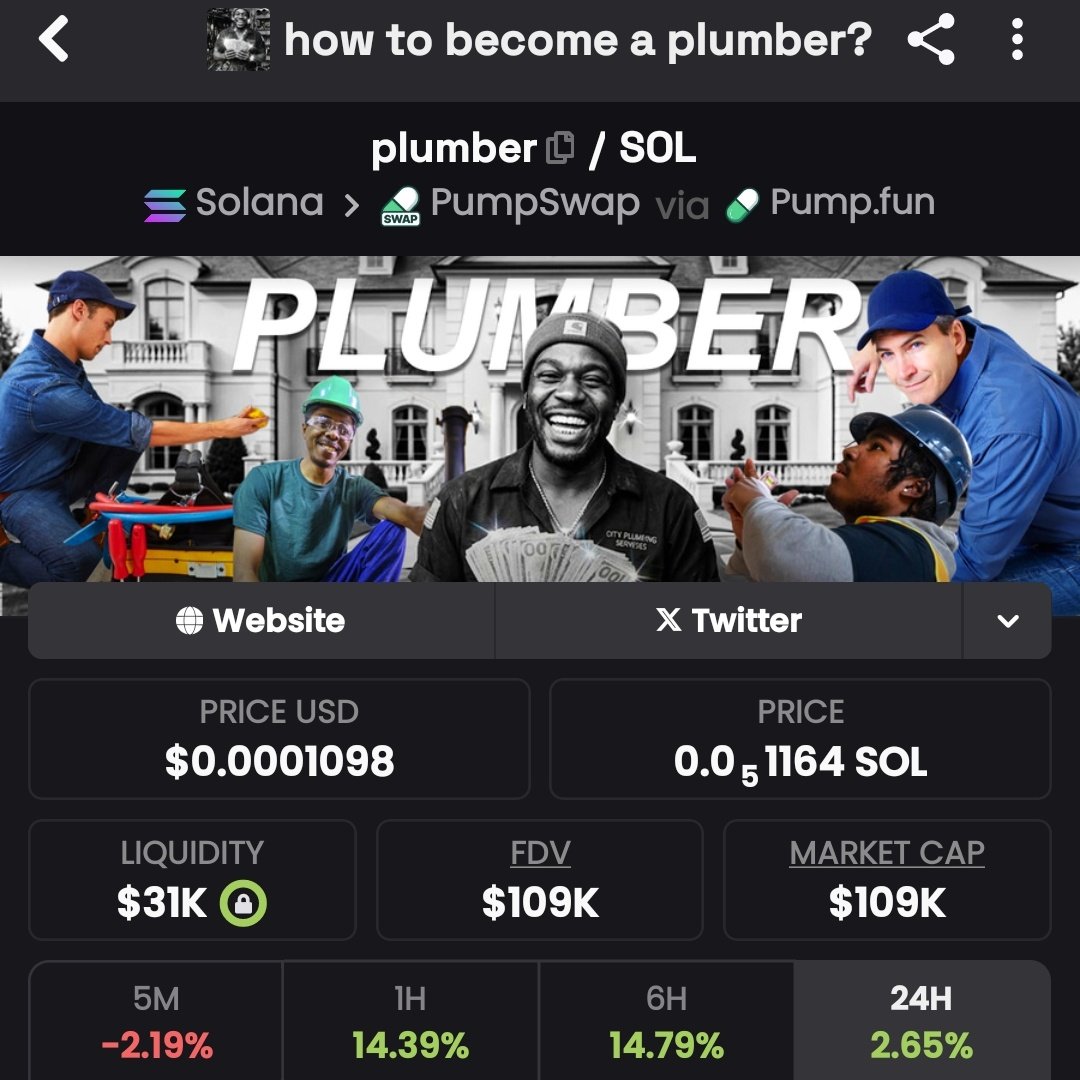 ONE_LEGEND11's tweet image. 2Pah9ZUfpii27ABrWfQorzdW8FSJimxj6izFr4oGpump

Another 100k entry on #PLUMBER 

I believe this can hit millions someday
